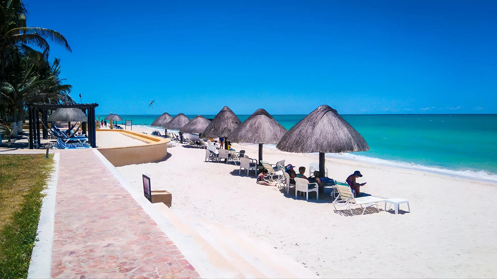 Playas en México que debes visitar 2024